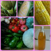 20120908 お野菜