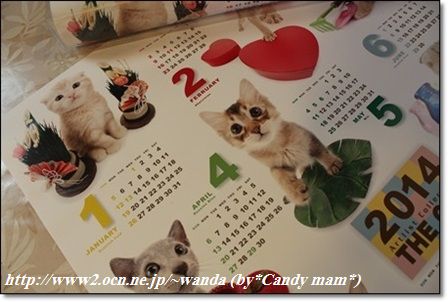 THE CAT 2014カレンダー