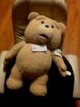 ted24inch1