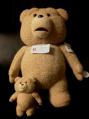 ted24inch2