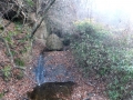 冬枯の滝