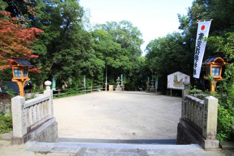 IMG_8574.jpg
