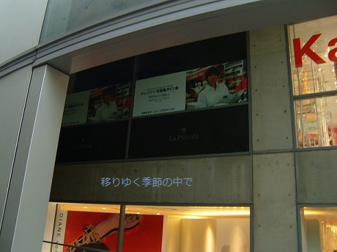 2007-aoyama2.jpg