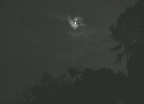 雲間から出た十三夜の月
