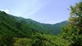 20120526二子山－武川岳－武甲山18