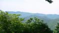 20120526二子山－武川岳－武甲山28