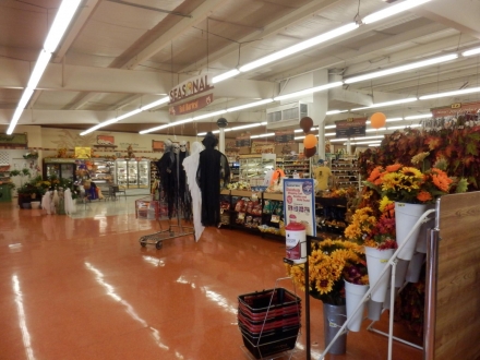 PA192383.jpg