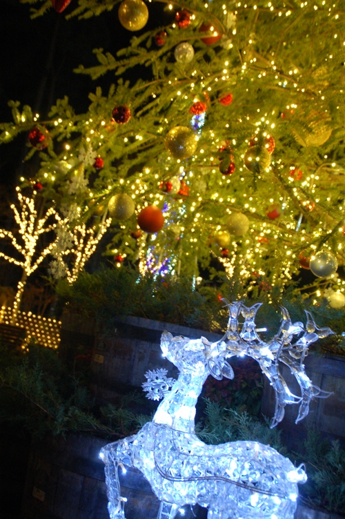 穂高地区イルミ_クリスマス