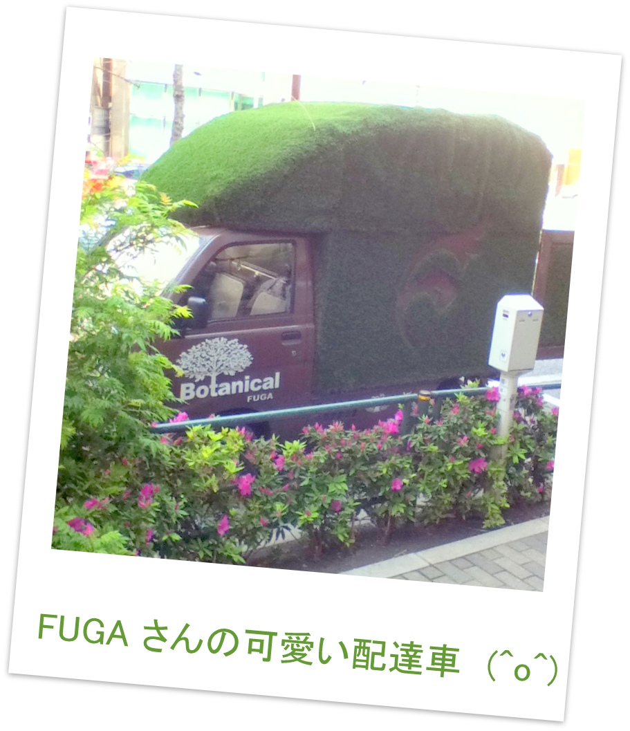 FUGA2.jpg