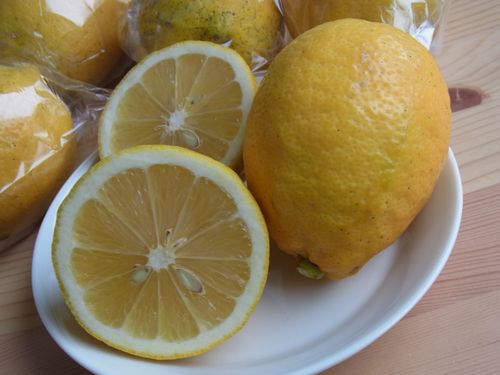 加藤誠さんの無肥料自然栽培レモン2