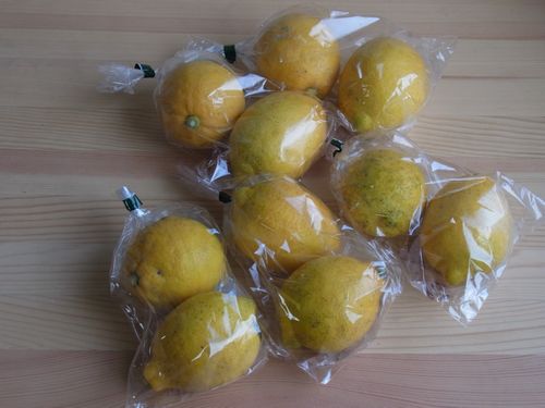 加藤誠さんの無肥料自然栽培レモン1