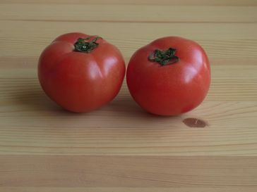 熊本県 浅野保さんの無肥料無農薬栽培トマト1