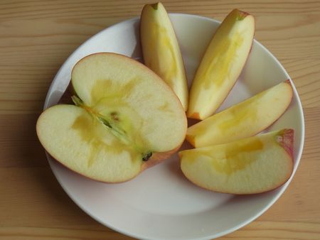 夏堀さんの無肥料農薬7割減りんご（ふじ）3