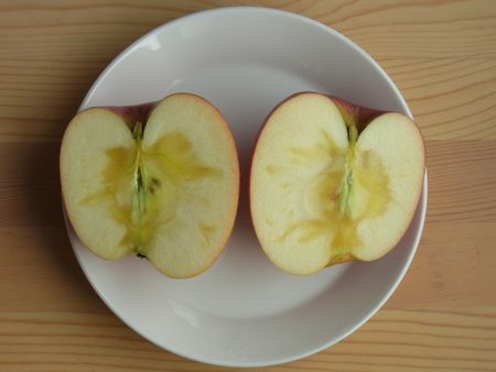 夏堀さんの無肥料農薬7割減りんご（ふじ）2