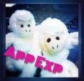 appexp3