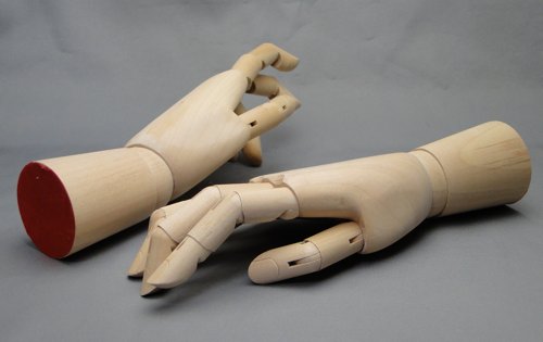 Model of the hand_02
