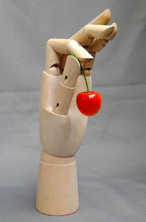 Model of the hand_09