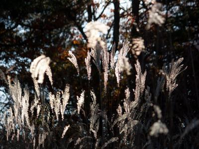 IMG_0815_720x540.jpg