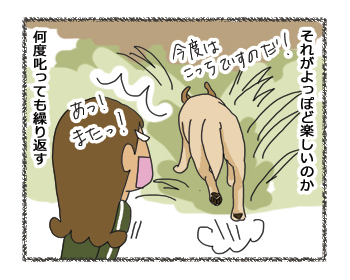 羊の国のラブラドール絵日記シニア!! 4コマ漫画「時間差反省」2