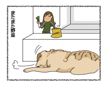 羊の国のラブラドール絵日記シニア!! わかりやすい4コマ漫画3