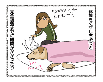 羊の国のラブラドール絵日記シニア!! 犬4コマ漫画「シニアなんだけど」1