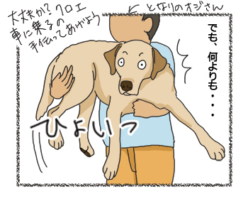羊の国のラブラドール絵日記シニア!! 犬4コマ漫画「シニアなんだけど」3
