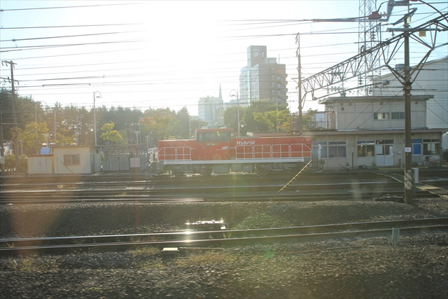 IMG_1878.jpg